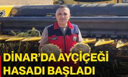 Dinar’da ayçiçeği hasadı başladı