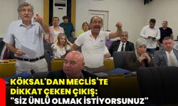 Köksal'dan Meclis’te dikkat çeken çıkış: "Siz ünlü olmak istiyorsunuz"