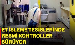 Et işleme tesislerinde resmi kontroller sürüyor