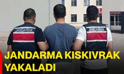 Jandarma kıskıvrak yakaladı