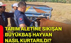 Tarım aletine sıkışan büyükbaş hayvan nasıl kurtarıldı?