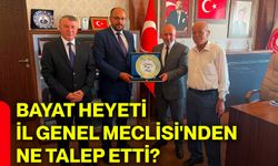 Bayat heyeti İl Genel Meclisi'nden ne talep etti?