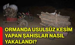 Ormanda usulsüz kesim yapan şahıslar nasıl yakalandı?