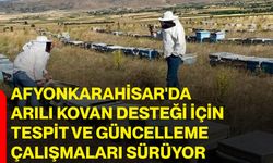 Afyonkarahisar'da arılı kovan desteği için tespit ve güncelleme çalışmaları sürüyor