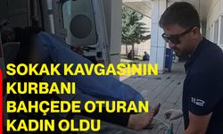 Sokak kavgasının kurbanı bahçede oturan kadın oldu