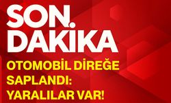 Otomobil direğe saplandı: Yaralılar var!
