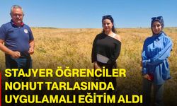 Stajyer öğrenciler nohut tarlasında uygulamalı eğitim aldı
