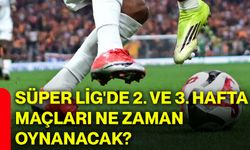Süper Lig'de 2. ve 3. hafta maçları ne zaman oynanacak?