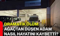 Dramatik ölüm: Ağaçtan düşen adam nasıl hayatını kaybetti?