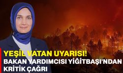 Yeşil Vatan uyarısı! Bakan Yardımcısı Yiğitbaşı'ndan kritik çağrı