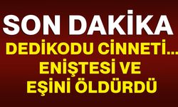 Dedikodu cinneti...Eniştesi ve eşini öldürdü