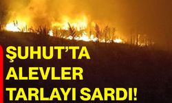 Şuhut’ta alevler tarlayı sardı!