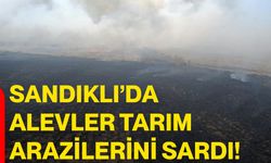 Sandıklı’da alevler tarım arazilerini sardı!