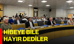 Hibeye bile hayır dediler
