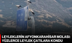 Leyleklerin Afyonkarahisar molası: Yüzlerce leylek çatılara kondu