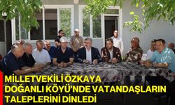 Milletvekili Özkaya Doğanlı Köyü'nde vatandaşların taleplerini dinledi