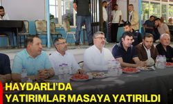 Haydarlı'da yatırımlar masaya yatırıldı