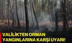 Valilikten orman yangınlarına karşı uyarı