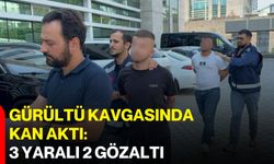 Gürültü kavgasında kan aktı: 3 yaralı, 2 gözaltı