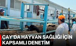 Çay’da hayvan sağlığı için kapsamlı denetim