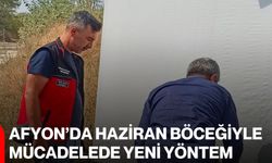 Afyon’da haziran böceğiyle mücadelede yeni yöntem