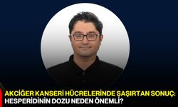 Akciğer kanseri hücrelerinde şaşırtan sonuç: Hesperidinin dozu neden önemli?