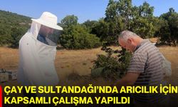 Çay ve Sultandağı’nda arıcılık için kapsamlı çalışma yapıldı