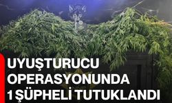 Uyuşturucu operasyonunda 1 şüpheli tutuklandı