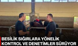 Besilik sığırlara yönelik kontrol ve denetimler sürüyor