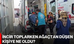 İncir toplarken ağaçtan düşen kişiye ne oldu?