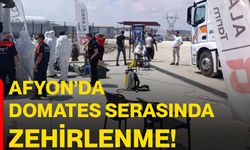 Afyon’da domates serasında zehirlenme!