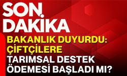 Bakanlık duyurdu: Çiftçilere tarımsal destek ödemesi başladı mı?