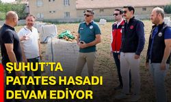 Şuhut’ta patates hasadı devam ediyor