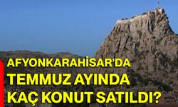 Afyonkarahisar’da Temmuz ayında kaç konut satıldı?