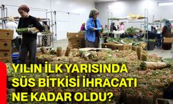 Yılın ilk yarısında süs bitkisi ihracatı ne kadar oldu?