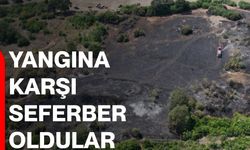 Yangına karşı seferber oldular