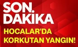 Hocalar'da korkutan yangın!