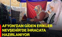 Afyon’dan giden erikler Nevşehir’de ihracata hazırlanıyor