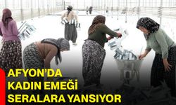 Afyon’da kadın emeği seralara yansıyor