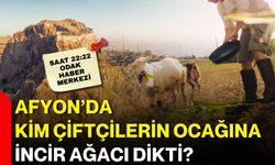Afyon’da kim çiftçilerin ocağına incir ağacı dikti?