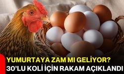 Yumurtaya zam mı geliyor? 30’lu koli için rakam açıklandı