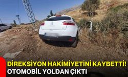 Direksiyon hakimiyetini kaybetti! Otomobil yoldan çıktı