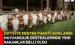 Çiftçiye destek paketi açıklandı: Hayvancılık desteklerinde yeni rakamlar belli oldu