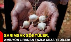 Sarımsak söktüler, 2 milyon liradan fazla ceza yediler!