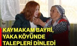 Kaymakam Bayri, Yaka köyünde talepleri dinledi