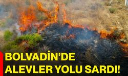 Bolvadin’de alevler yolu sardı!