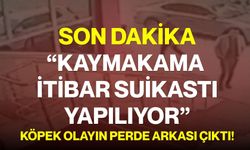 “Kaymakama İtibar Suikastı Yapılıyor” Köpek Olayın Perde Arkası Çıktı!
