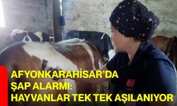 Afyonkarahisar’da şap alarmı: Hayvanlar tek tek aşılanıyor