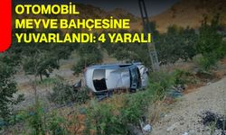 Otomobil meyve bahçesine yuvarlandı: 4 yaralı