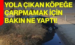 Yola çıkan köpeğe çarpmamak için bakın ne yaptı!?